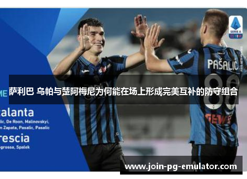 萨利巴 乌帕与楚阿梅尼为何能在场上形成完美互补的防守组合