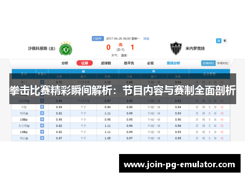 拳击比赛精彩瞬间解析：节目内容与赛制全面剖析