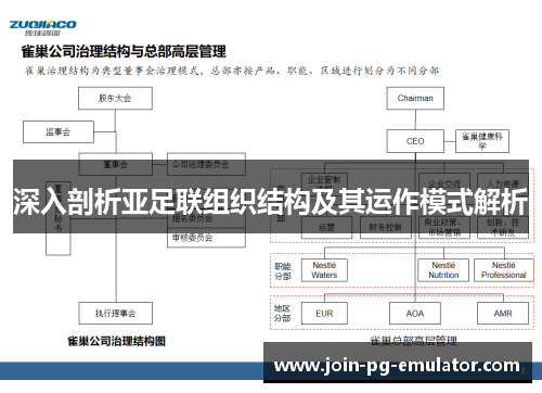深入剖析亚足联组织结构及其运作模式解析