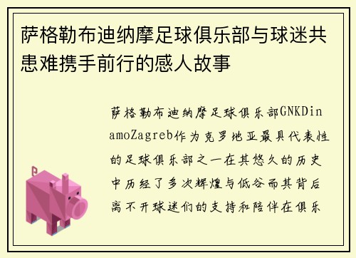 萨格勒布迪纳摩足球俱乐部与球迷共患难携手前行的感人故事